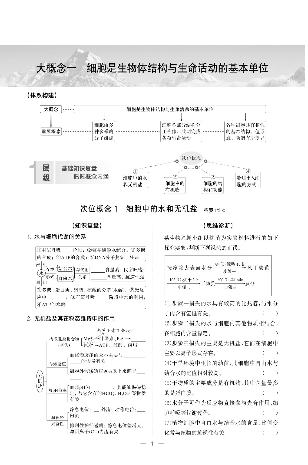 强化版03-1.jpg