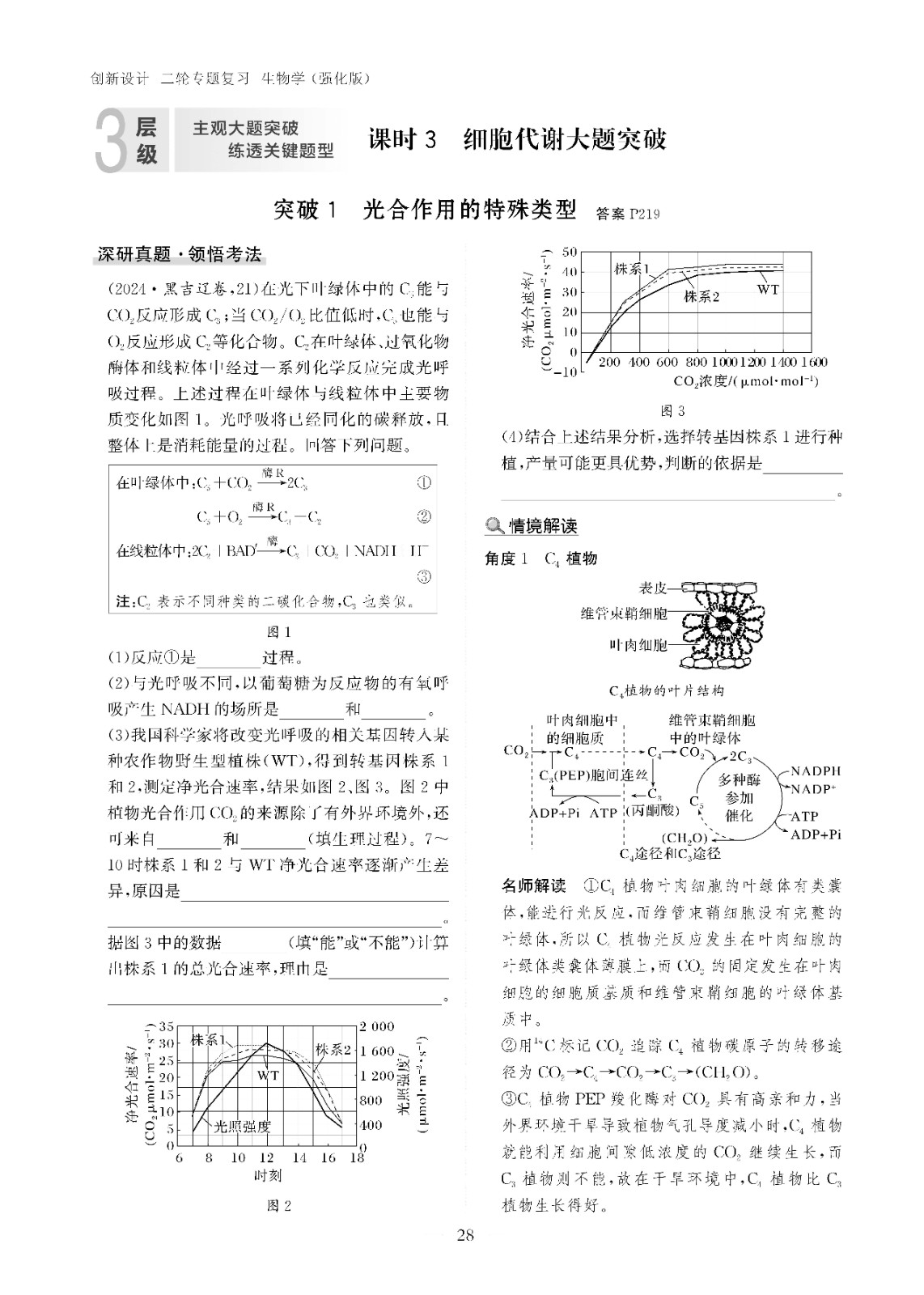 强化版05-1.jpg